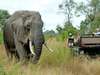 Notten's Bush Camp - Game Drive 